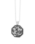 Good Luck Symbols Personalised Silver Necklace