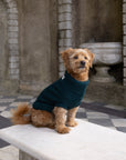 Forest Green British Wool Dog Jumper