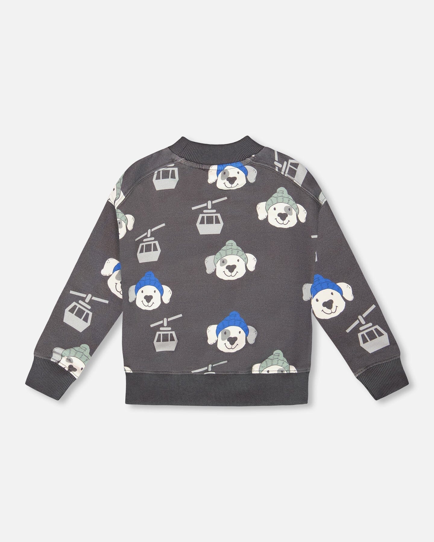 Gray Fleece Pullover with Dog and Ski Gondola Print