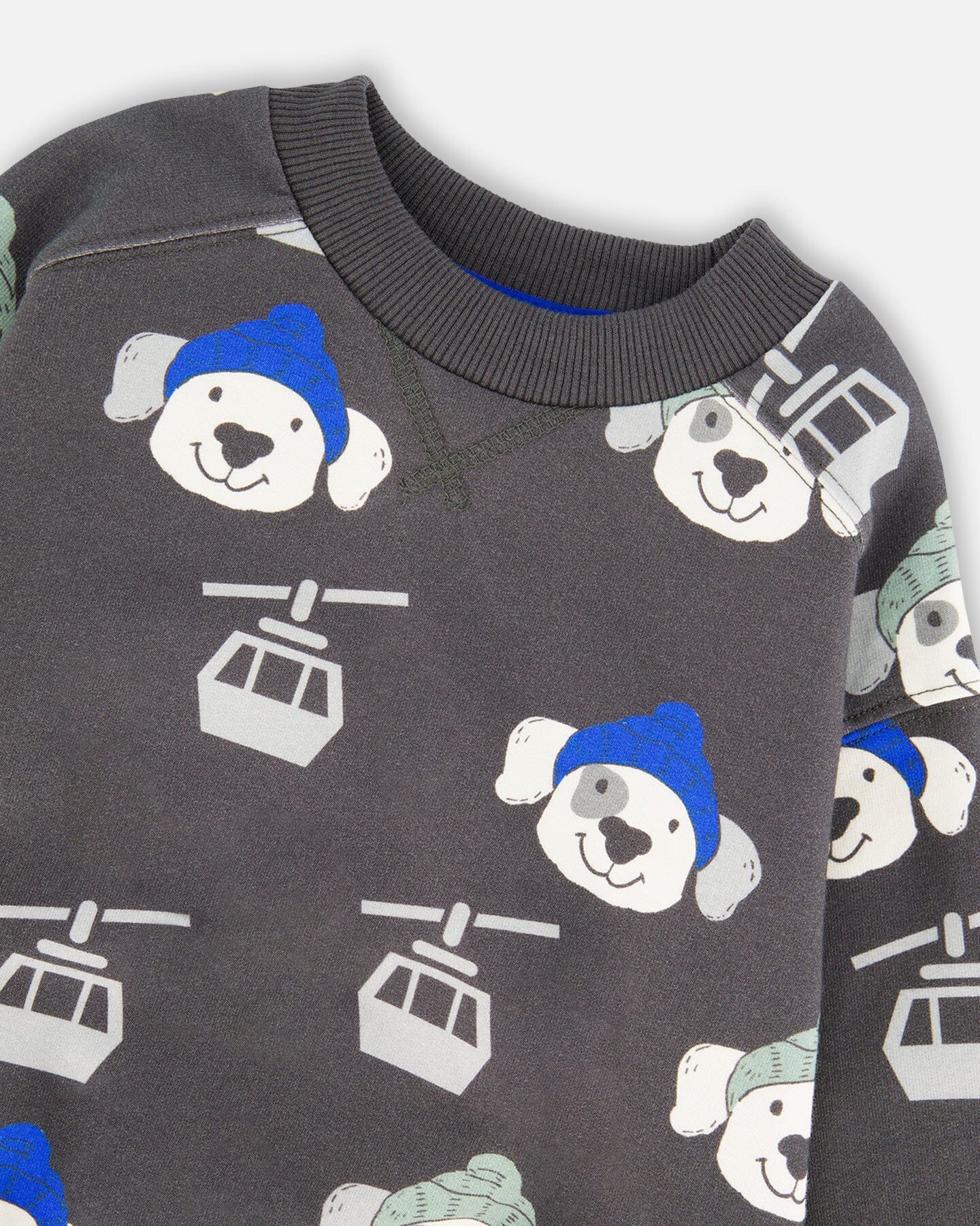 Gray Fleece Pullover with Dog and Ski Gondola Print