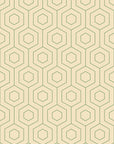 Hive Hexagonal Retro Wallpaper