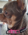 Signature Pink Chihuahua Print Exclusive Designer Collar by My Chi and Me