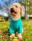 Dog Fleece Coat - Green