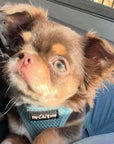 Tiny Trails Step In Air Mesh Puppy and Small Dog Harness Baby Blue