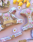 Pastel Petals - Dog Harness (XXS-XS)
