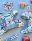 Eden's Orchard - Leather Dog Lead