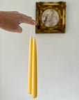 DIPPED BEESWAX CANDLES