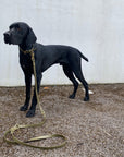 Loki Multiway Dog Lead in Khaki & Brown