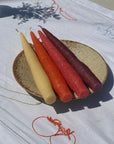 Beeswax Rainbow Carrot Sticks (Pack of four)