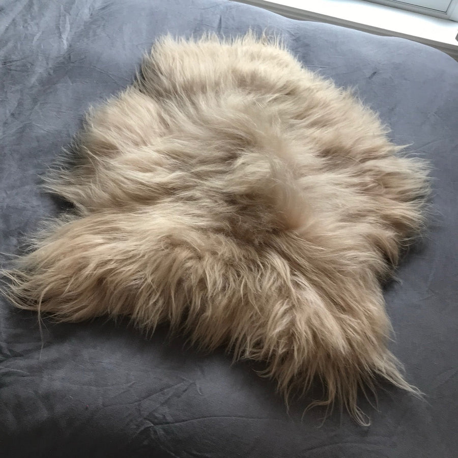 Luxury honey gold Icelandic sheepskin rug, premium longhair hide, sustainable Scandinavian home decor, soft plush fur throw by Wildash London at brixbailey.com