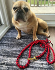Heart Pattern Red Valentine's Day Make Your Own Dog Lead Craft Kit