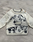 Farmyard Jumper