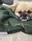 Arlo Forest Green Check Pet Blanket | Reversible Lambswool Sherpa | Handmade Luxury Dog Throw | Machine Washable UK