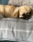 Large Bone, Dog Snuggle Cushion
