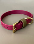 Dottie Wine & Olive Colour Block Collar
