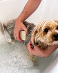 Dog Shampoo Bar - 100% Natural, Vegan & Palm oil-free Shampoo Bar for Dogs