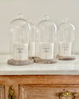 HENLEY WOODS HAND BLOWN TALL GLASS CANDLE CLOCHE