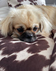 Luxury Faux Cowhide Dog Daybed with Removable Cover – Handmade in Devon