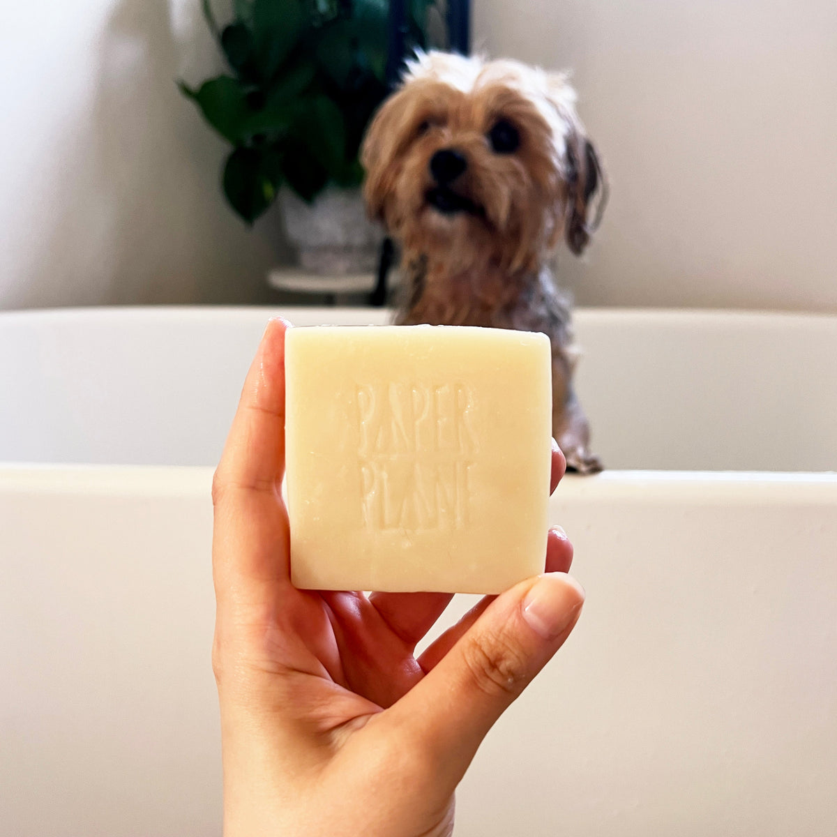 Dog Shampoo Bar - 100% Natural, Vegan &amp; Palm oil-free Shampoo Bar for Dogs