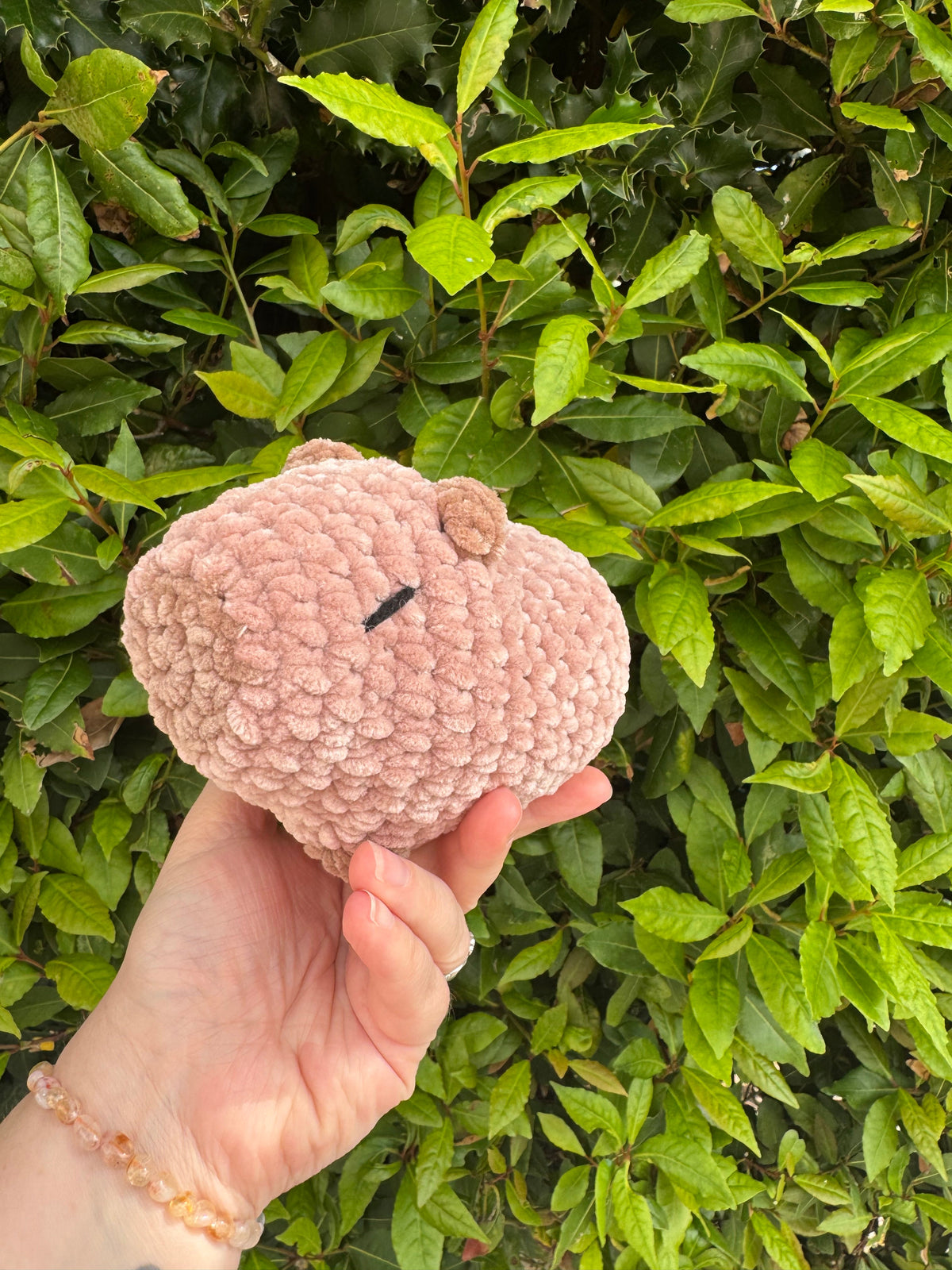 Handmade Crochet Capybara Plush | Soft Amigurumi Toy