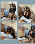 Dogs Pampering/Grooming Gift Set - Choice of Fabrics for Toy Bone