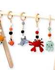Montessori Baby Gym & Hanging Toys Set | Wooden Play Gym for Babies-1