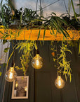 Wooden Beam Chandelier for Plants | Kitchen Island Lighting with Planter Shelf