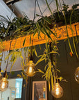 Wooden Beam Chandelier for Plants | Kitchen Island Lighting with Planter Shelf