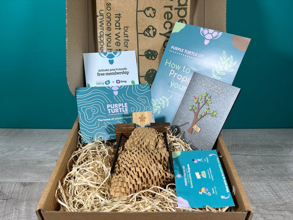 Plant Propagation Gift Set 