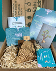 Plant Propagation Gift Set 