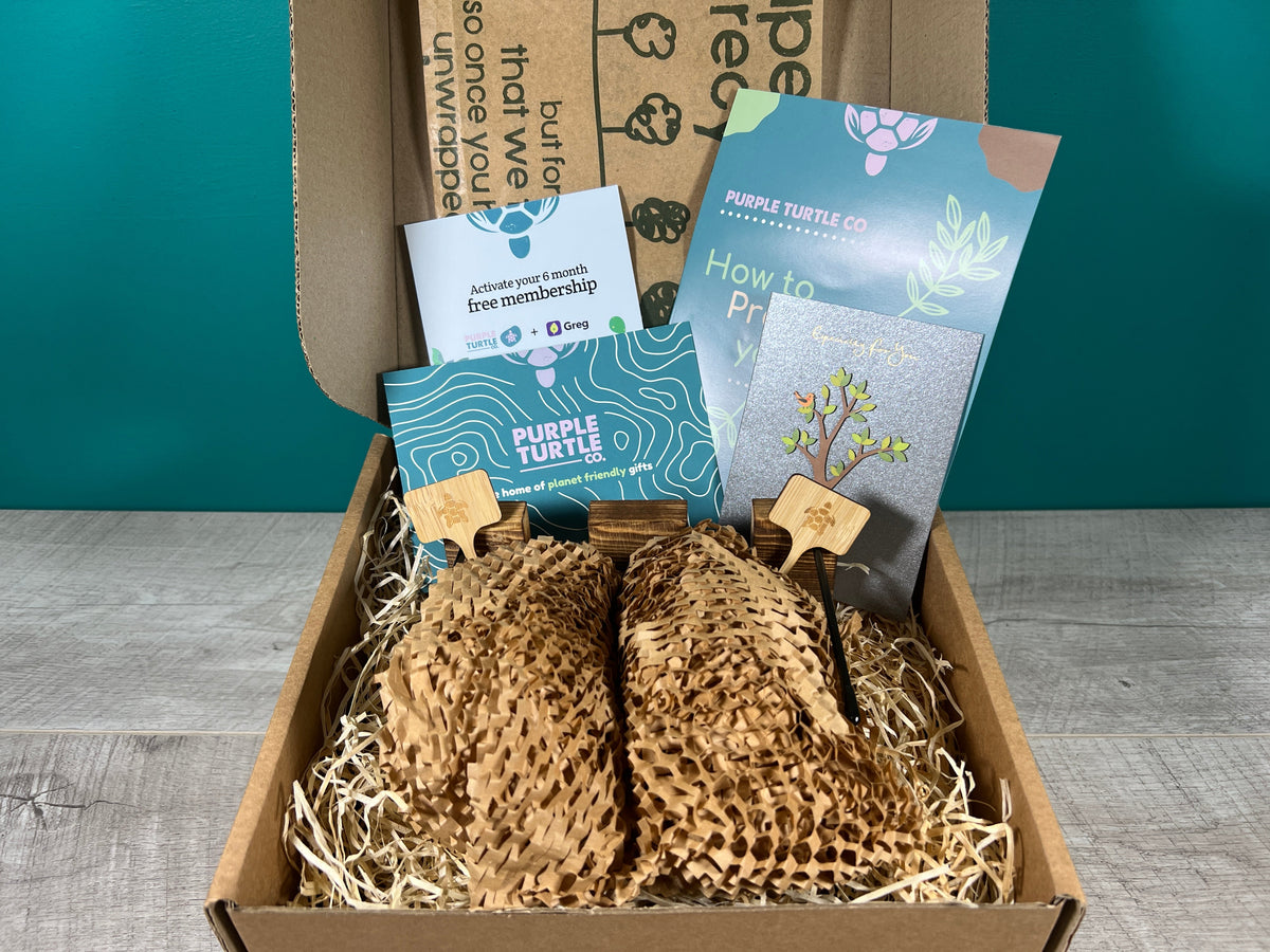Plant Propagation Gift Set 