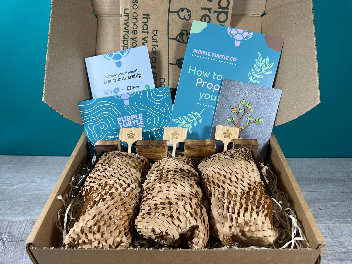 Plant Propagation Gift Set 