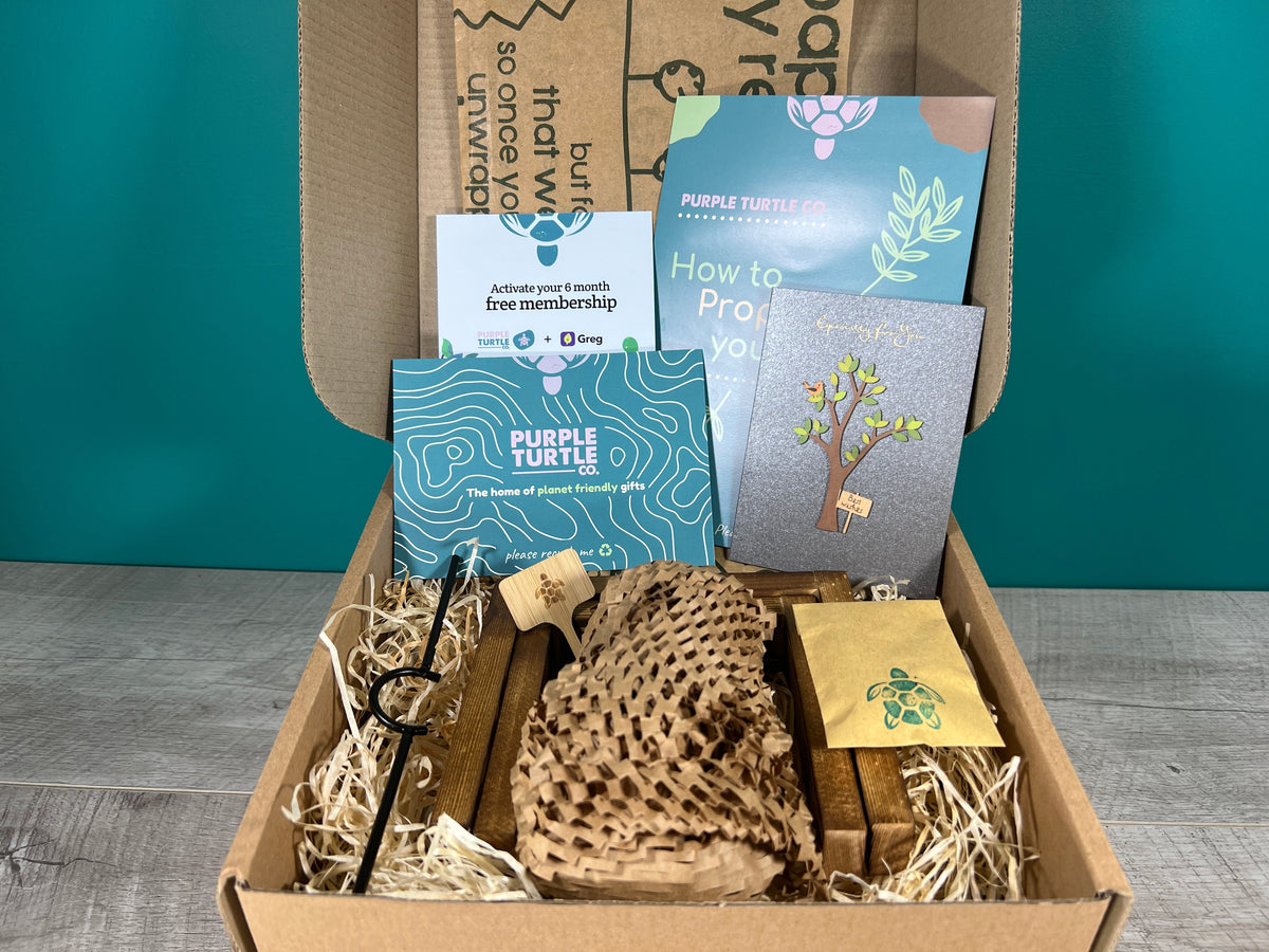 Plant Propagation Gift Set 