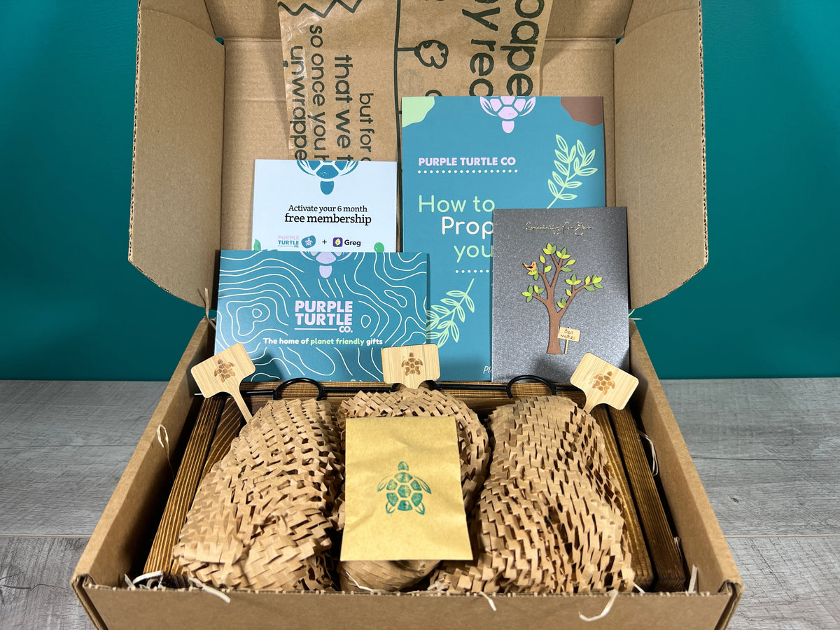 Plant Propagation Gift Set 