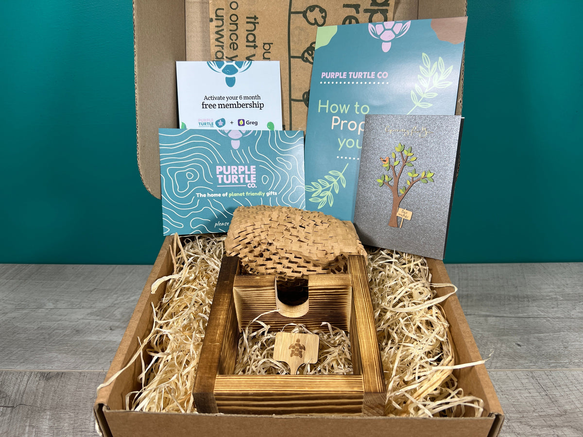 Plant Propagation Gift Set 