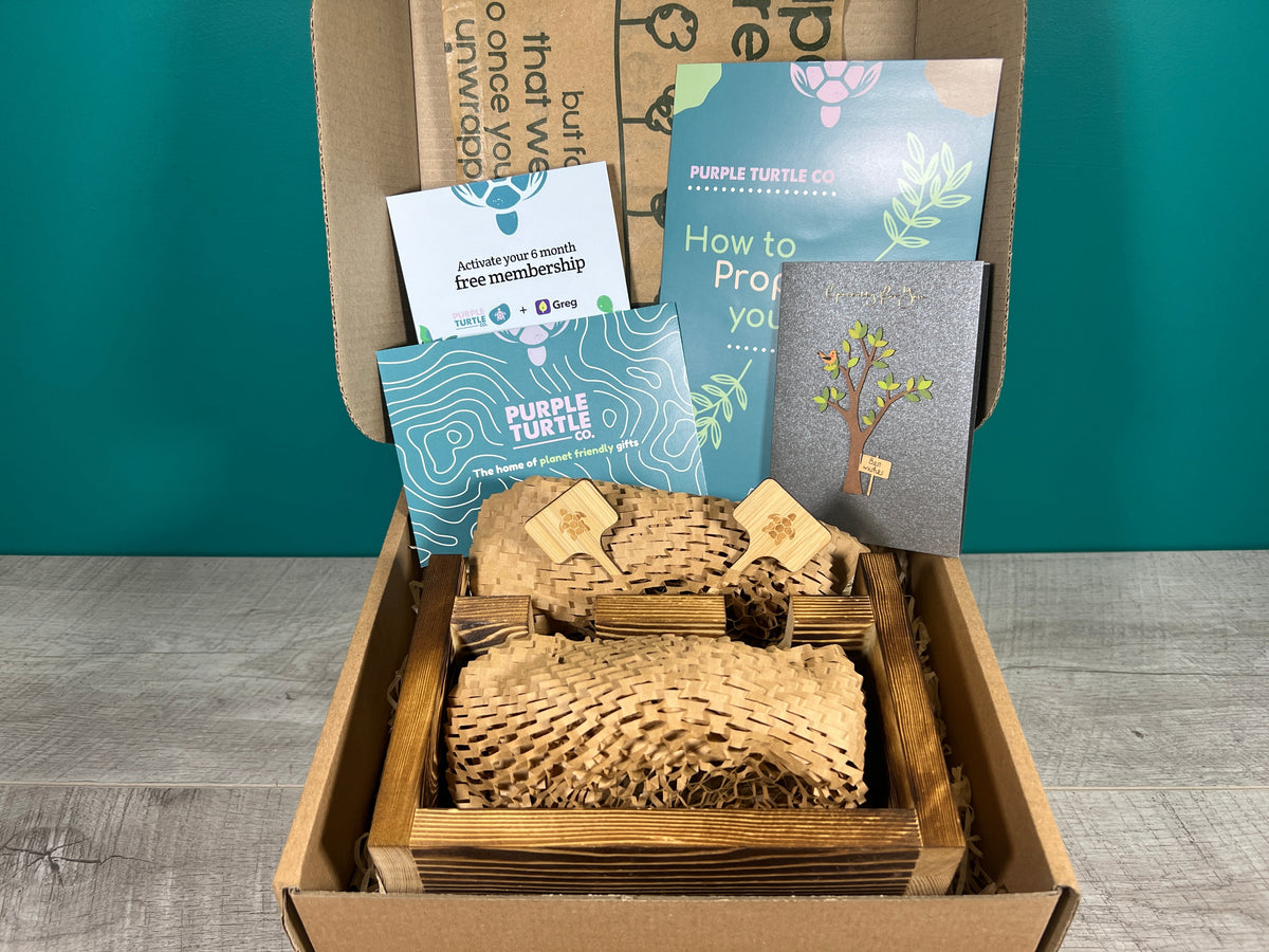 Plant Propagation Gift Set 
