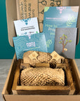 Plant Propagation Gift Set 