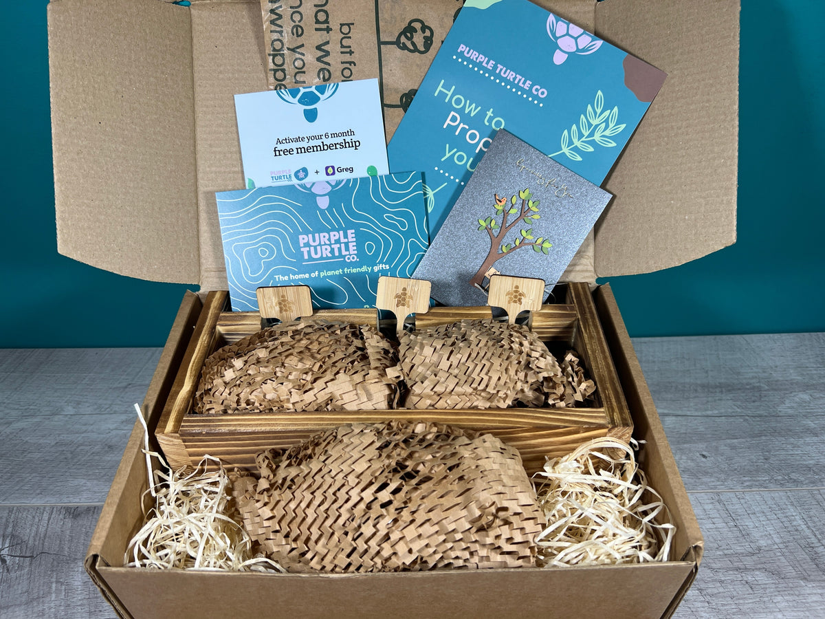 Plant Propagation Gift Set 