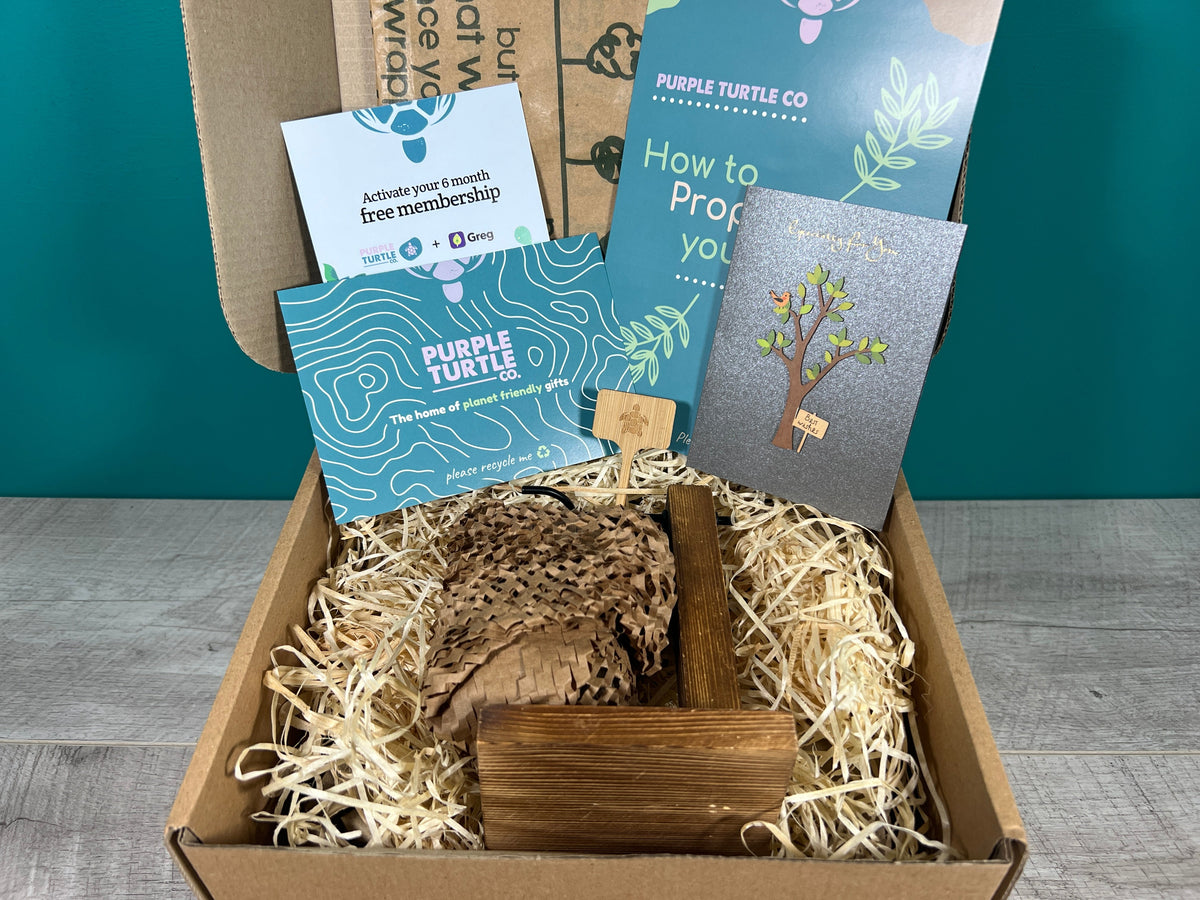 Plant Propagation Gift Set 