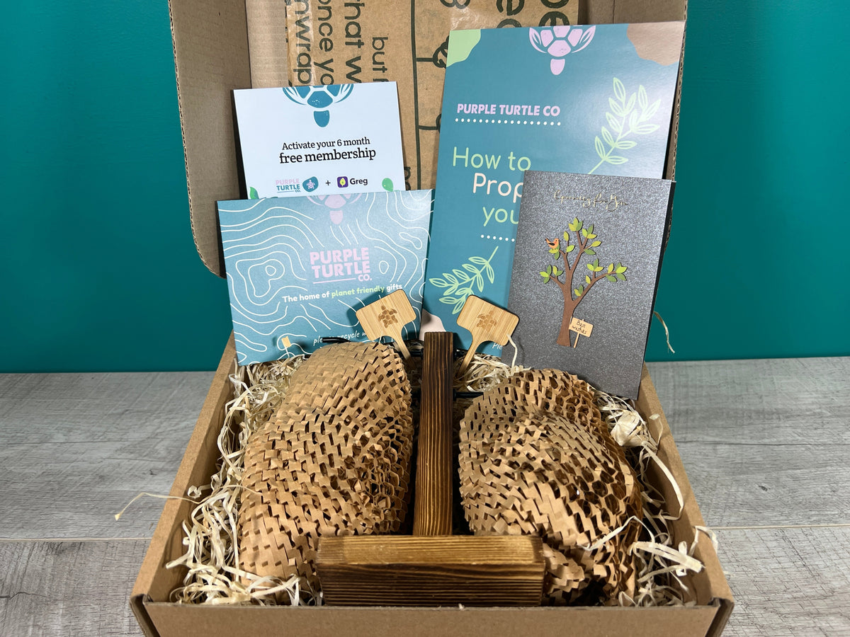 Plant Propagation Gift Set 