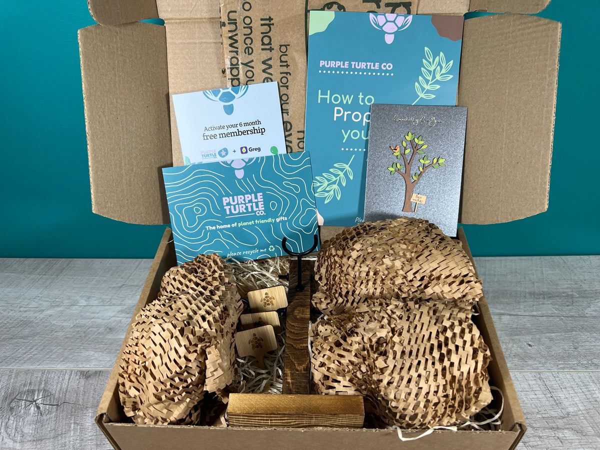 Plant Propagation Gift Set 