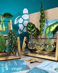 Plant Propagation Gift Set 
