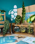 Plant Propagation Gift Set 