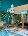 Plant Propagation Gift Set 