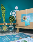Plant Propagation Gift Set 