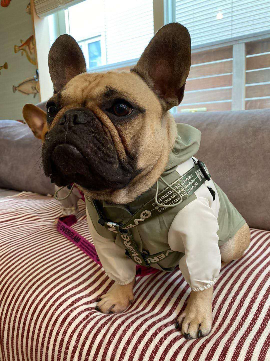 Overglam Ribbon Harness