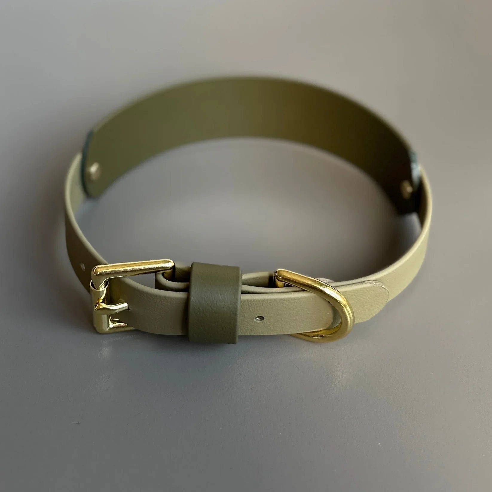 Bentley Olive &amp; Khaki Hound Collar