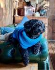 Cerulean Blue British Wool Dog Jumper