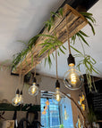 Wooden Beam Chandelier for Plants | Kitchen Island Lighting with Planter Shelf