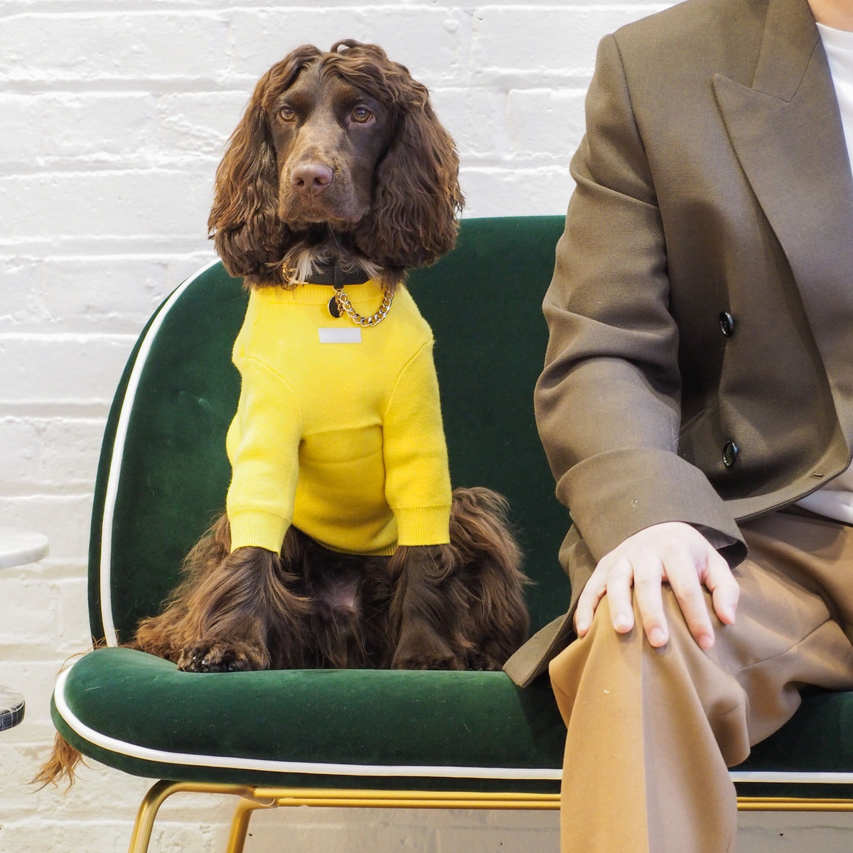 Yellow Jumper